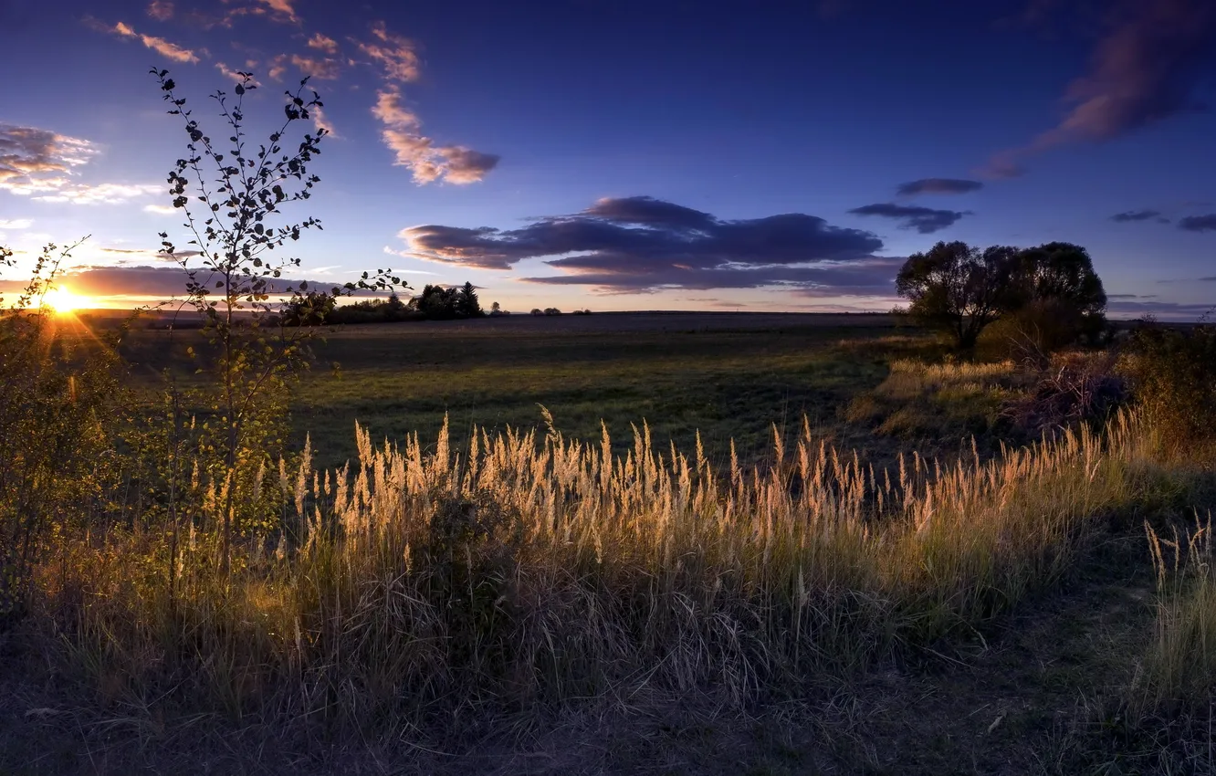 Photo wallpaper field, autumn, morning