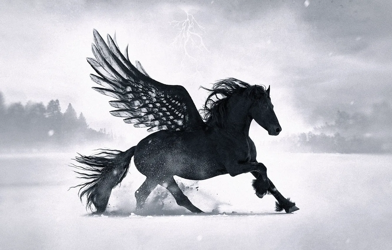 Photo wallpaper forest, snow, horse, lightning, wings, Black Pegasus