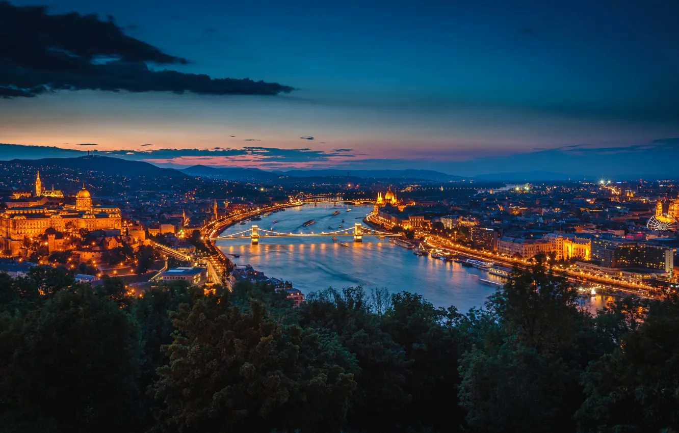Photo wallpaper night, bridge, lights, river, building, Hungary, Budapest, The Danube