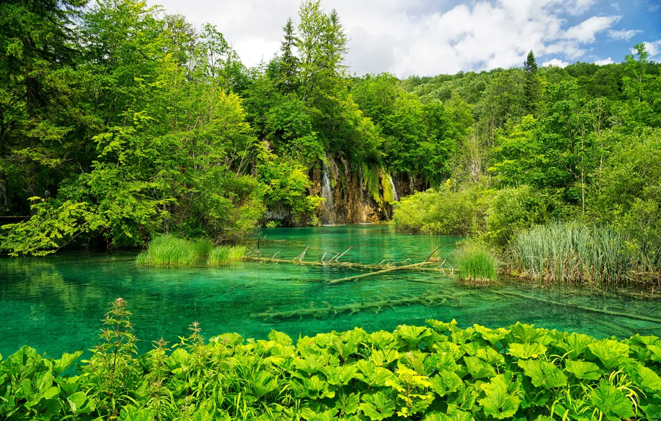 Photo wallpaper greens, forest, grass, clouds, trees, lake, waterfall, Croatia