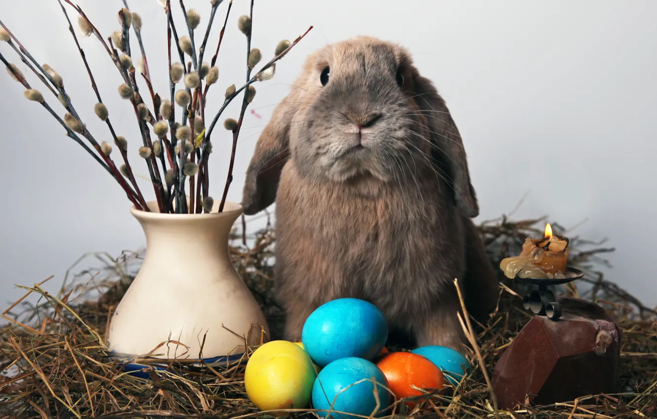 Photo wallpaper candle, eggs, rabbit, Easter, straw, Verba