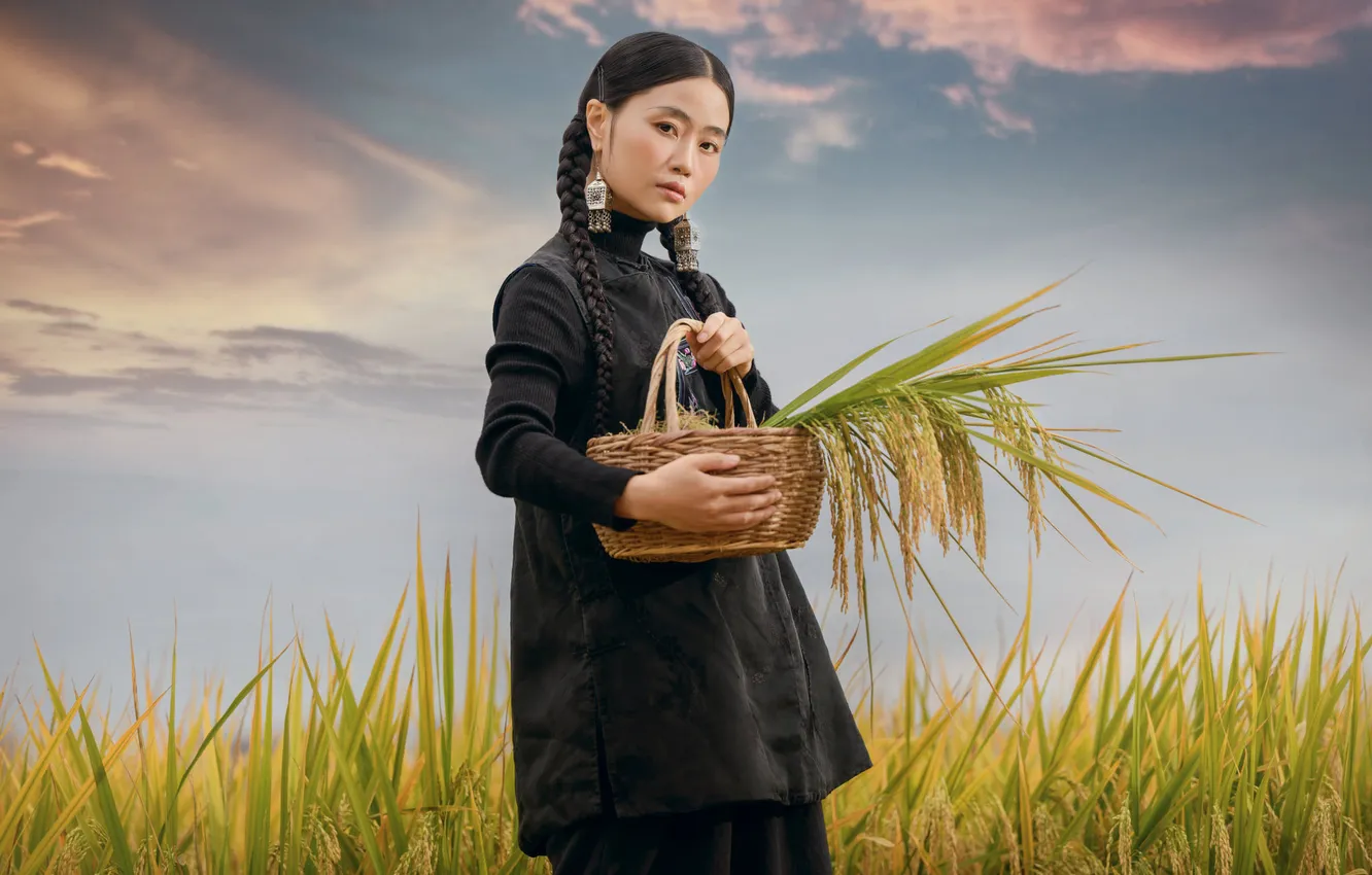 Photo wallpaper pose, look, Nick Vison, girl, field, nature, Asian