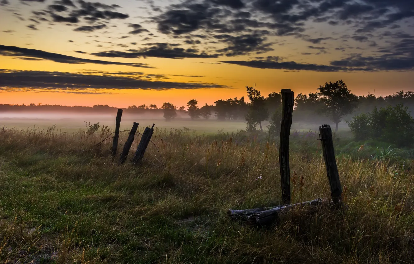 Photo wallpaper field, summer, fog, the fence, morning
