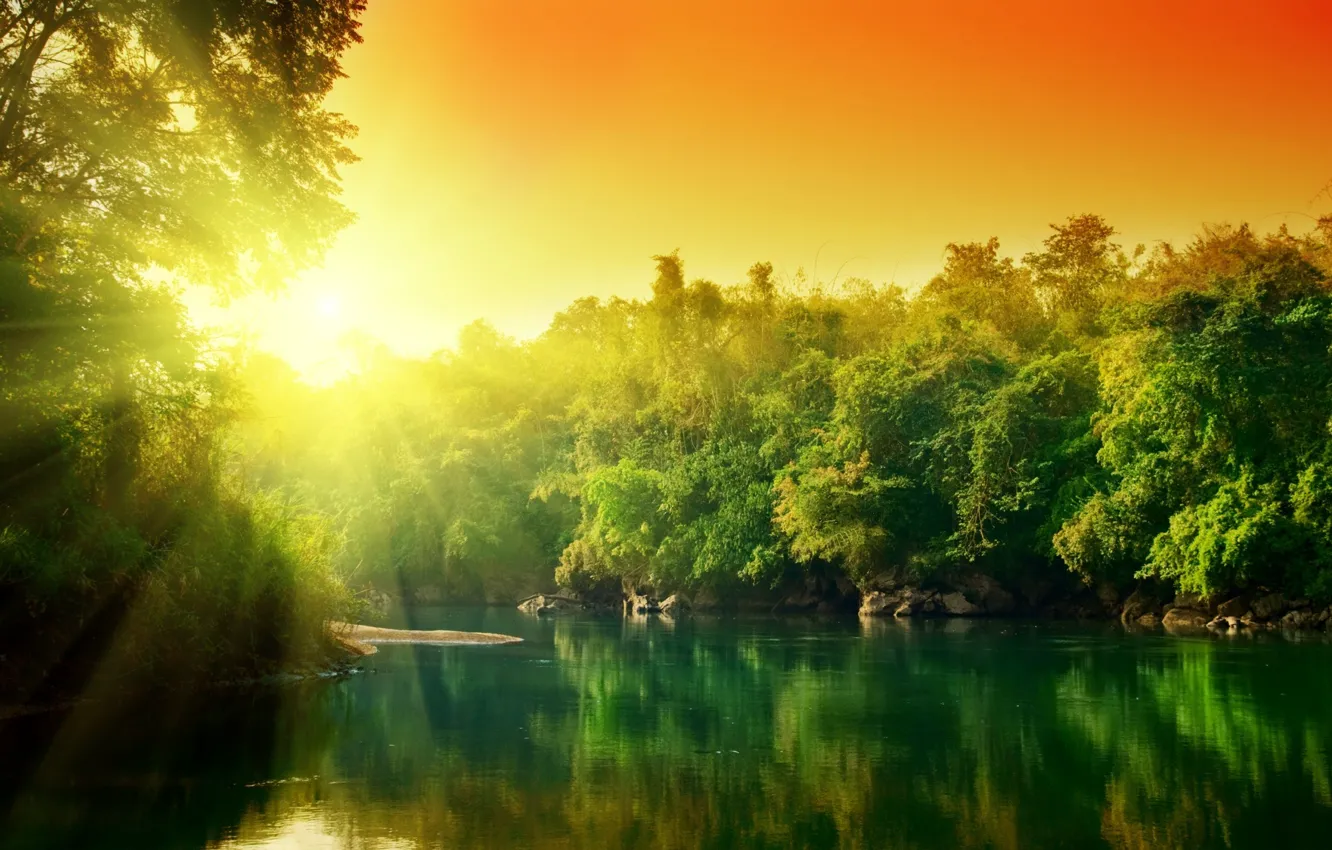Photo wallpaper water, the sun, trees, reflection, colorful