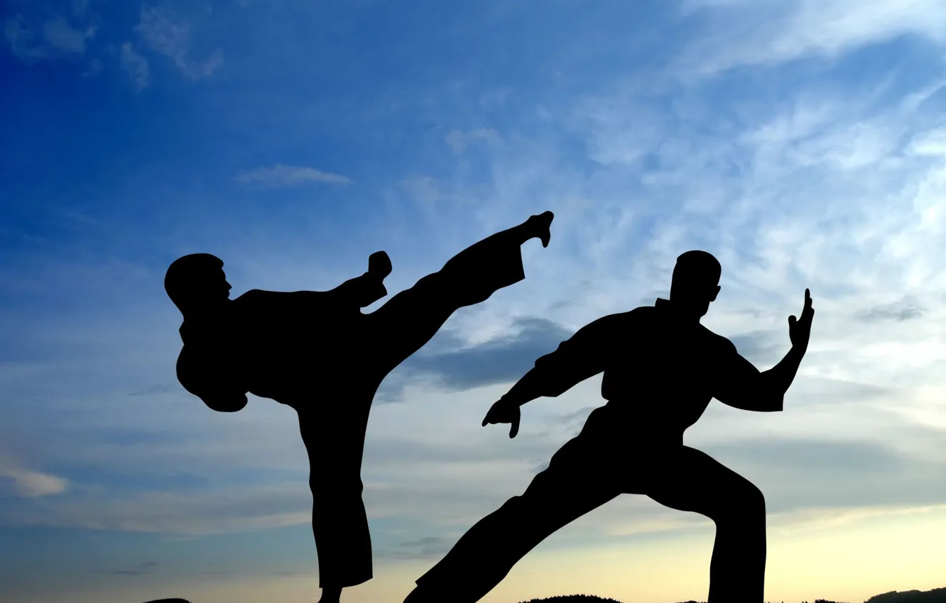 Photo wallpaper The sky, Sport, Battle, Wallpaper, Shadows, Blow, Fighters, The fight