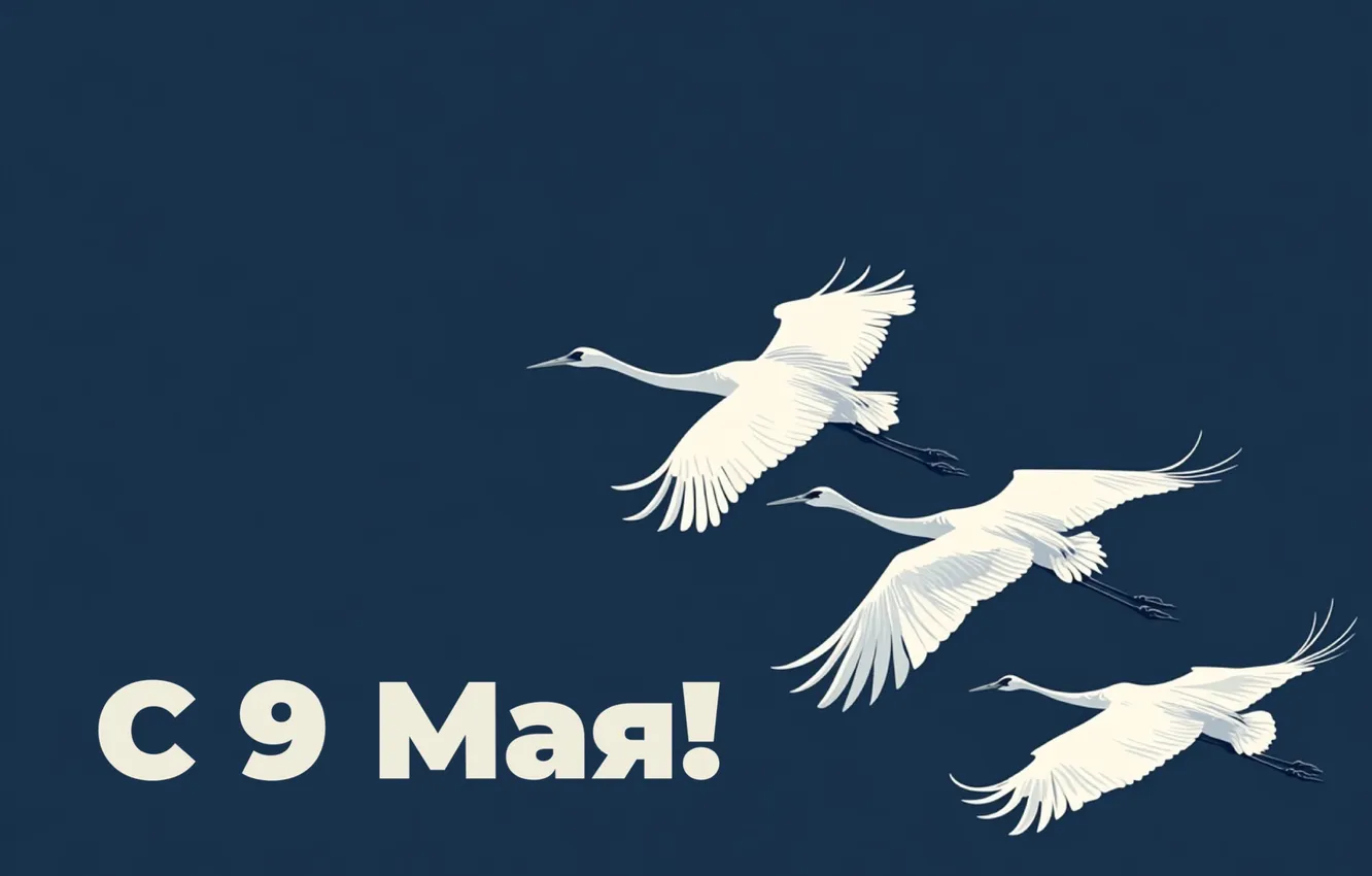Photo wallpaper victory day, blue background, May 9, birds, the herons