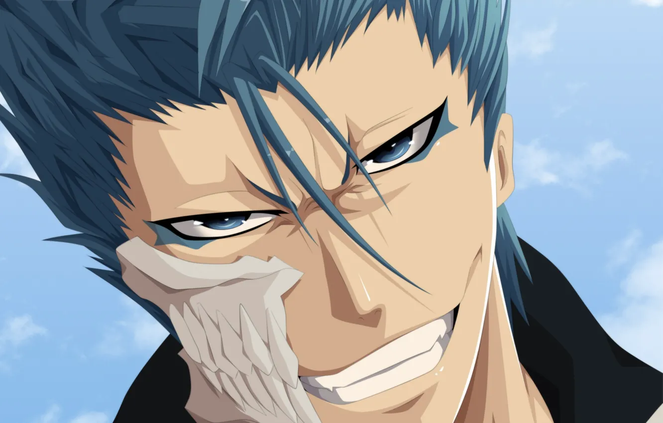 Photo wallpaper smile, guy, Bleach, Bleach, arancar, Grimjow