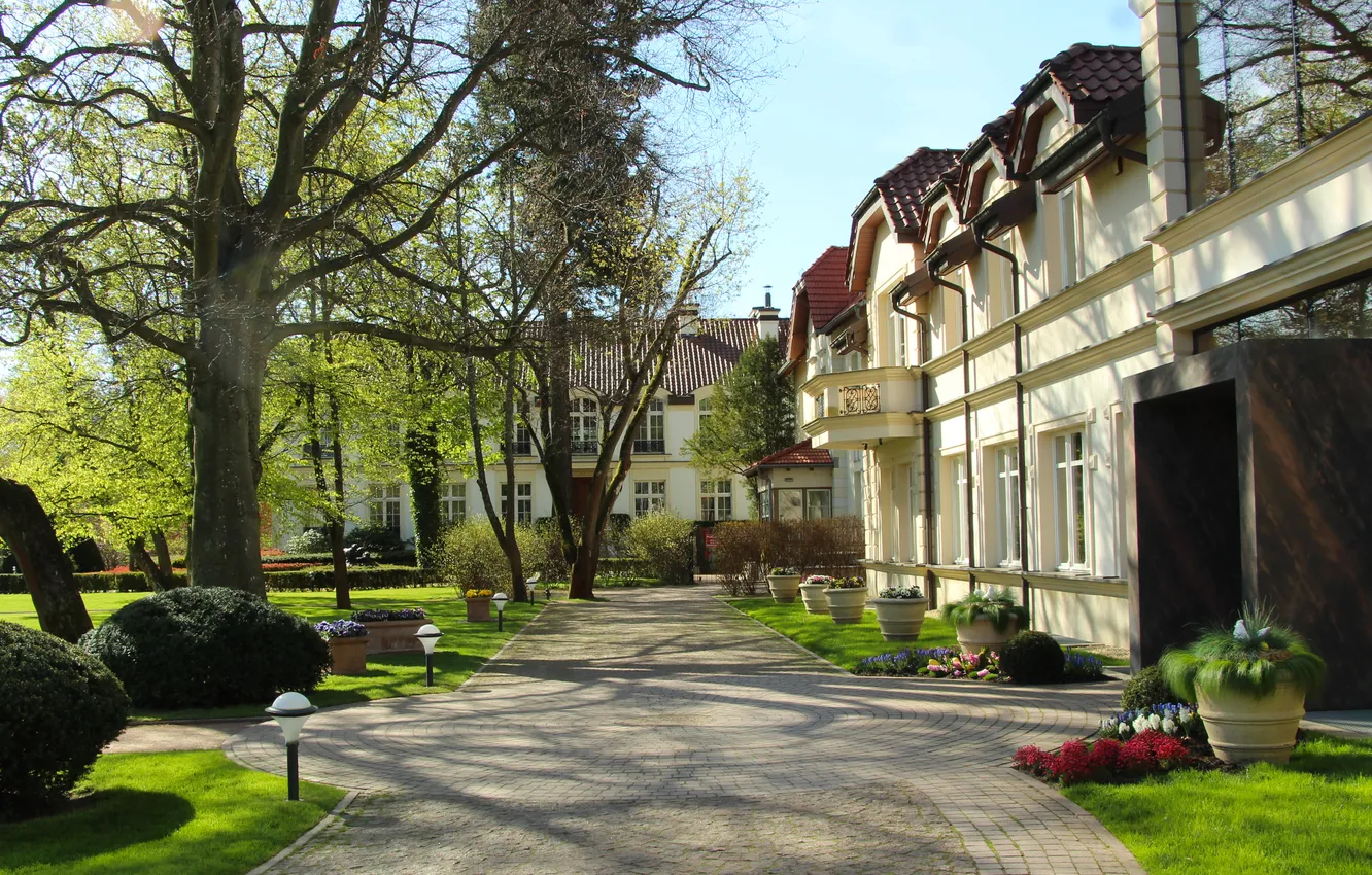 Photo wallpaper park, alley, building