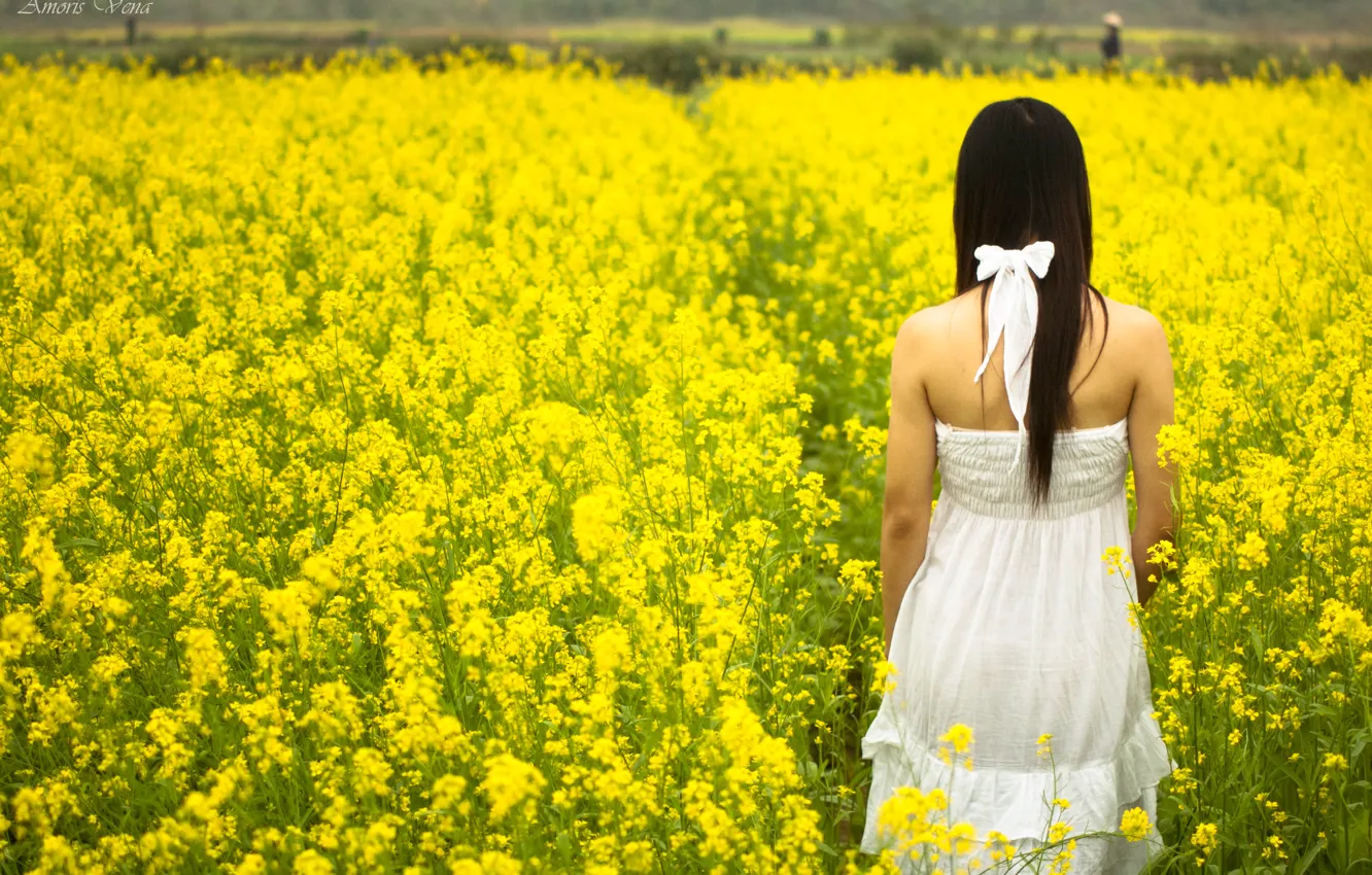 Photo wallpaper field, white, summer, girl, the sun, flowers, yellow, background
