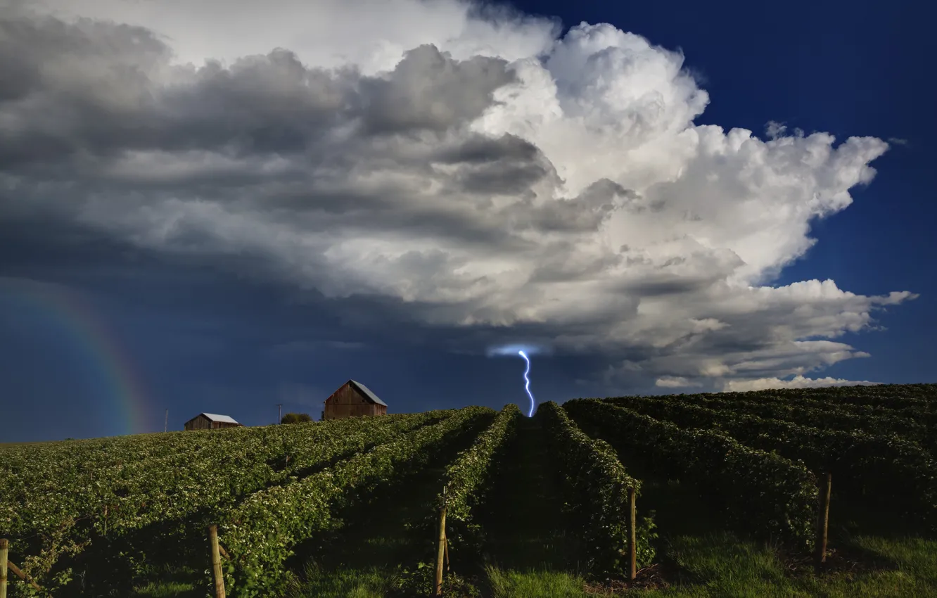Photo wallpaper the sky, clouds, lightning, rainbow, vineyard, house