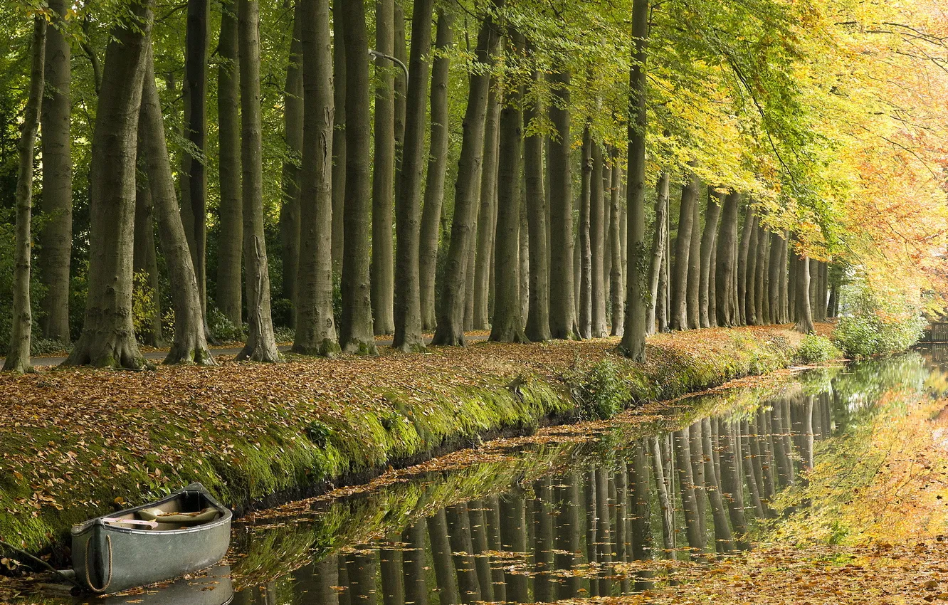 Photo wallpaper road, trees, boat