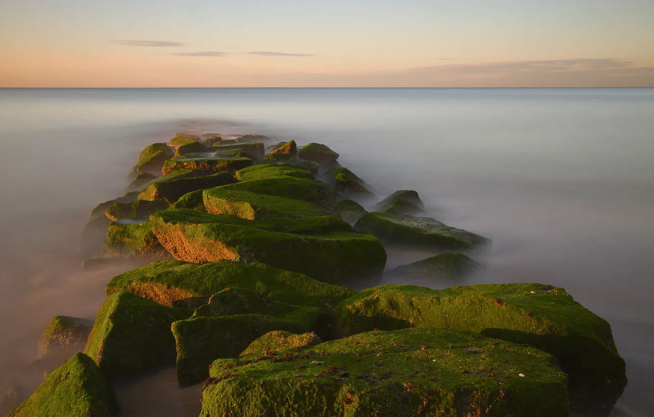 Photo wallpaper sea, stones, dawn, moss