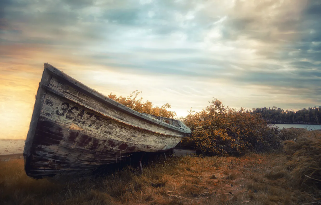 Photo wallpaper the sky, shore, boat
