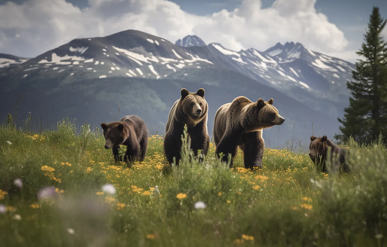 Photo wallpaper forest, nature, bear, bear, walk, family, bear, AI art