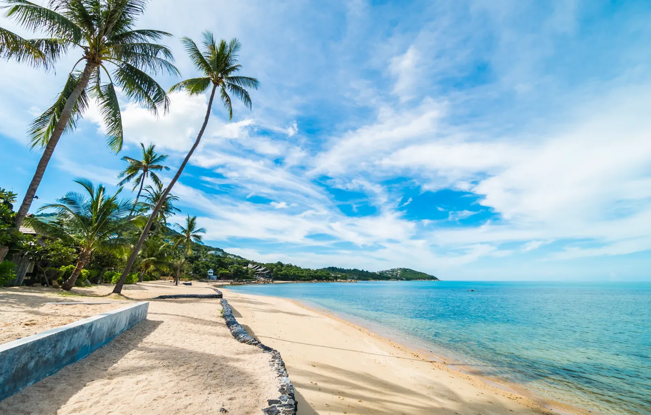 Photo wallpaper sand, sea, beach, summer, the sky, the sun, palm trees, shore