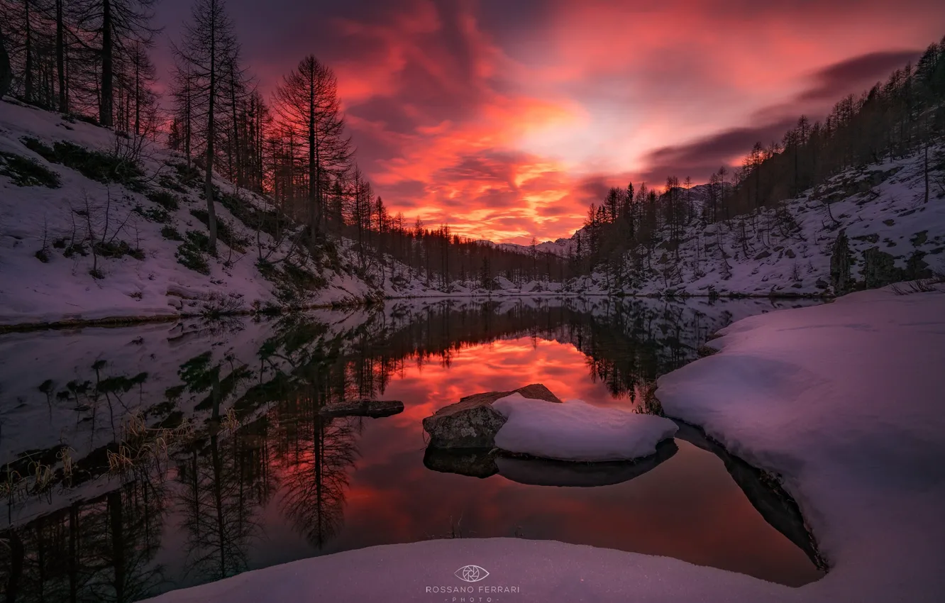 Photo wallpaper winter, forest, snow, trees, sunset, lake, the evening