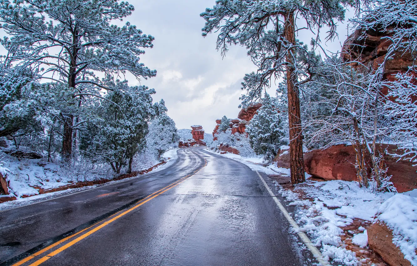 Photo wallpaper winter, frost, road, snow, trees, branches, nature, the way