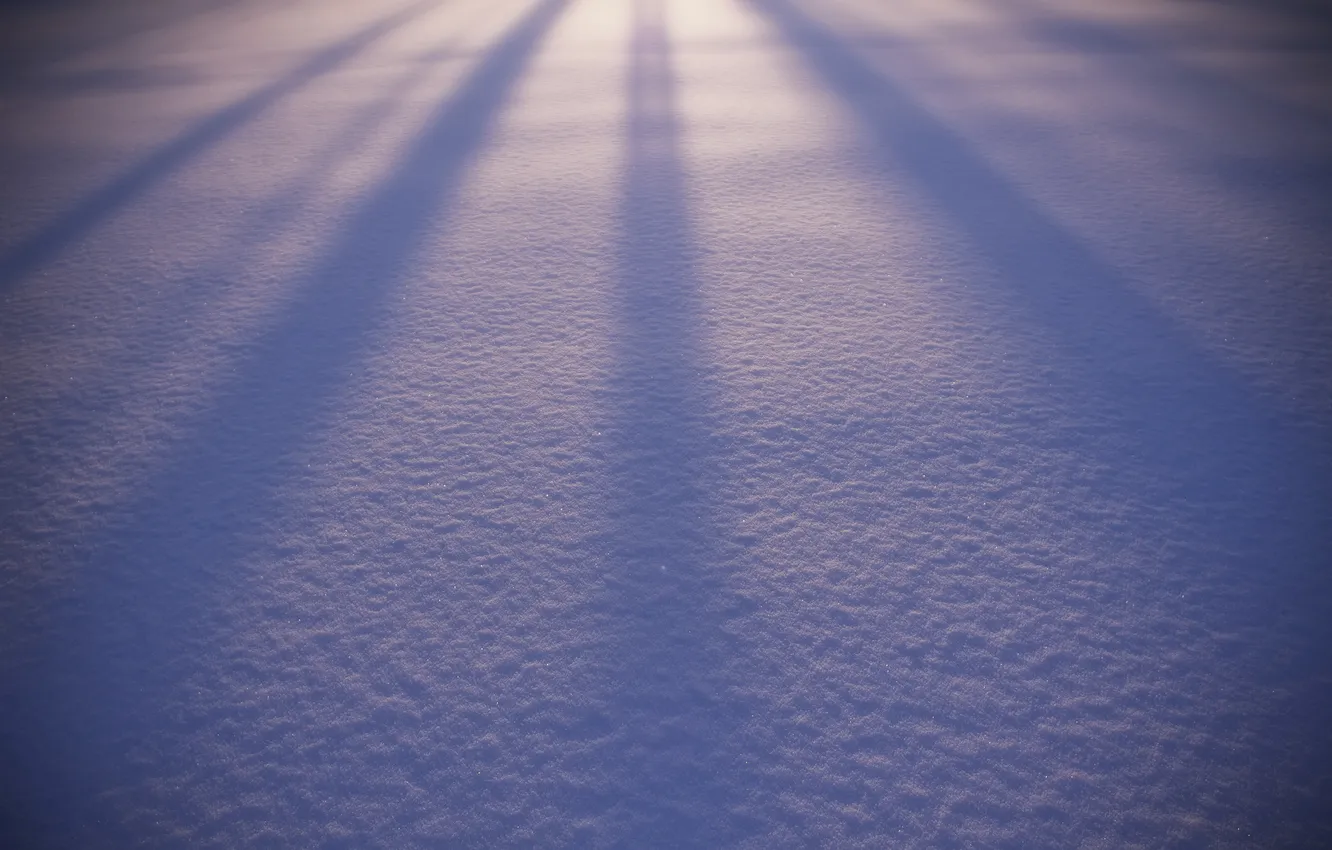 Photo wallpaper winter, snow, nature, background, widescreen, Wallpaper, Shine, shadow