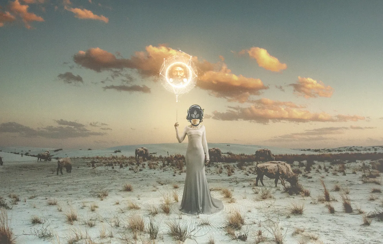 Photo wallpaper girl, emblem, desktopography, Buffalo