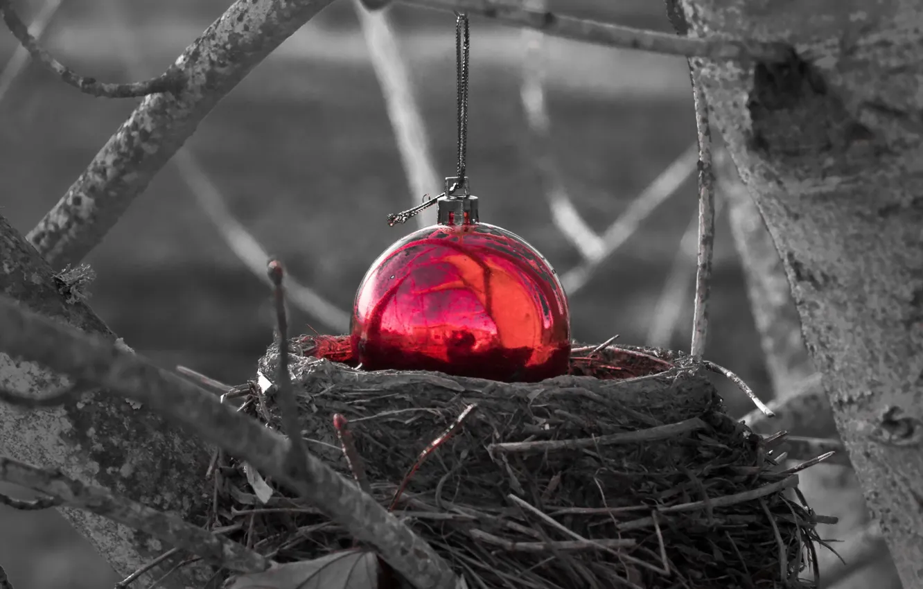 Photo wallpaper holiday, toy, socket