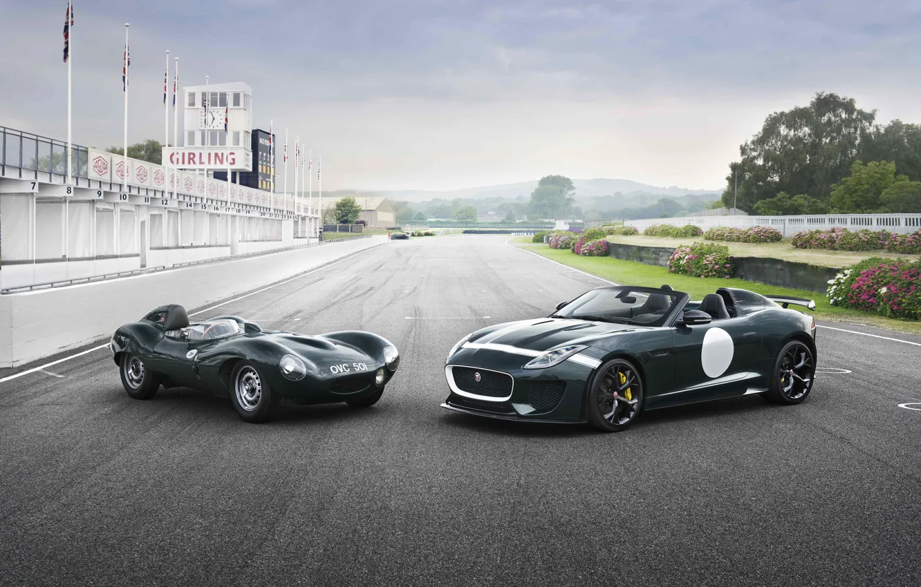 Photo wallpaper Jaguar, F-Type, Project 7, E Type