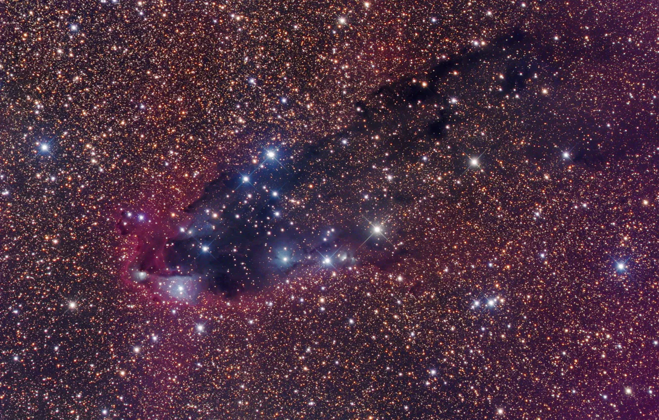 Photo wallpaper space, Scorpio, dark nebula, star formation, star formation, Scorpius, dark nebula