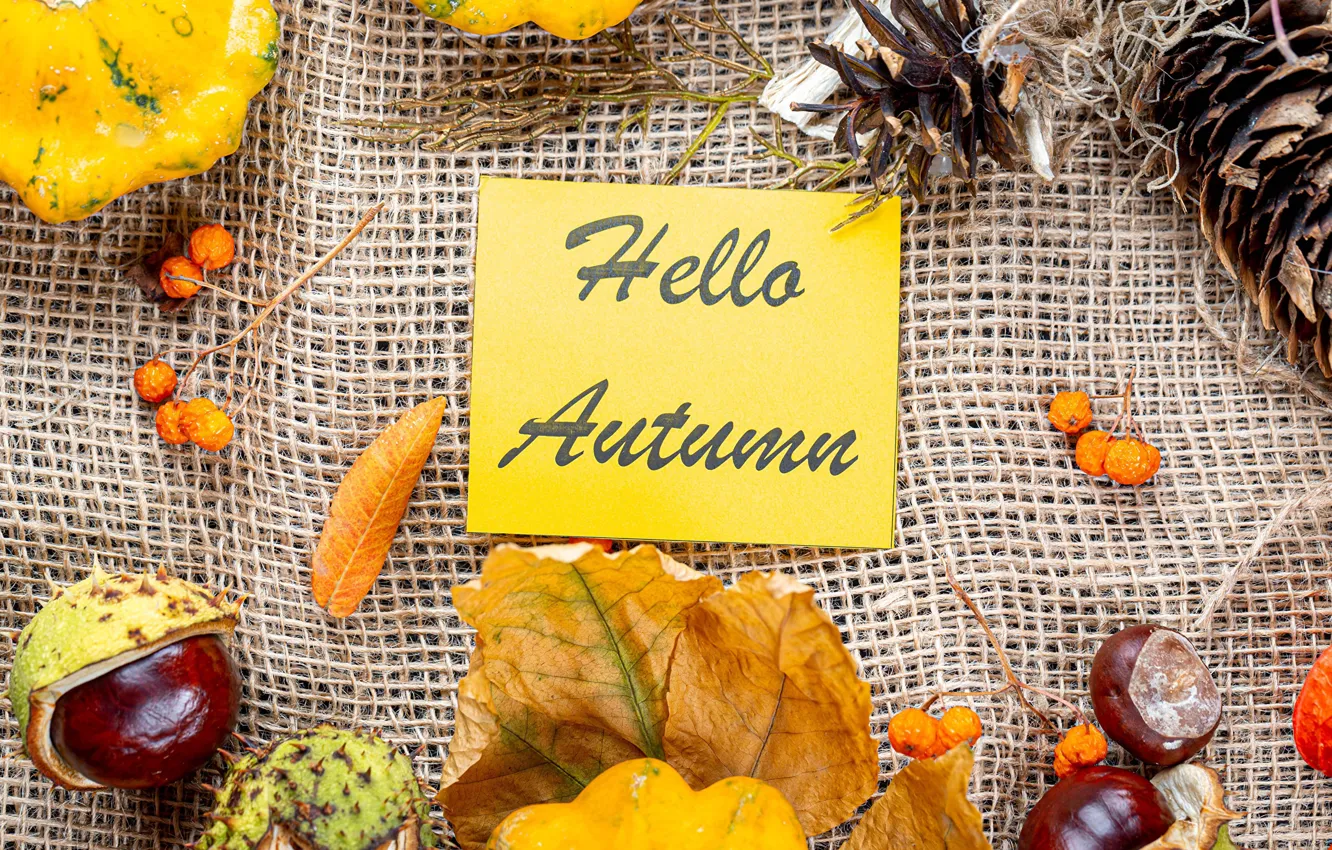 Photo wallpaper autumn, leaves, berries, the inscription, pumpkin, bumps, chestnuts