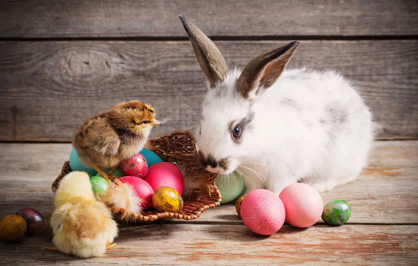 Photo wallpaper chickens, eggs, rabbit, Easter
