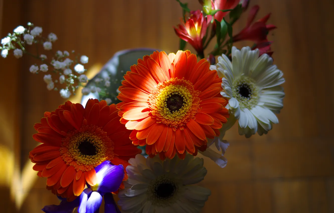 Photo wallpaper light, flowers, orange, bouquet, white, gerbera, different, strip light