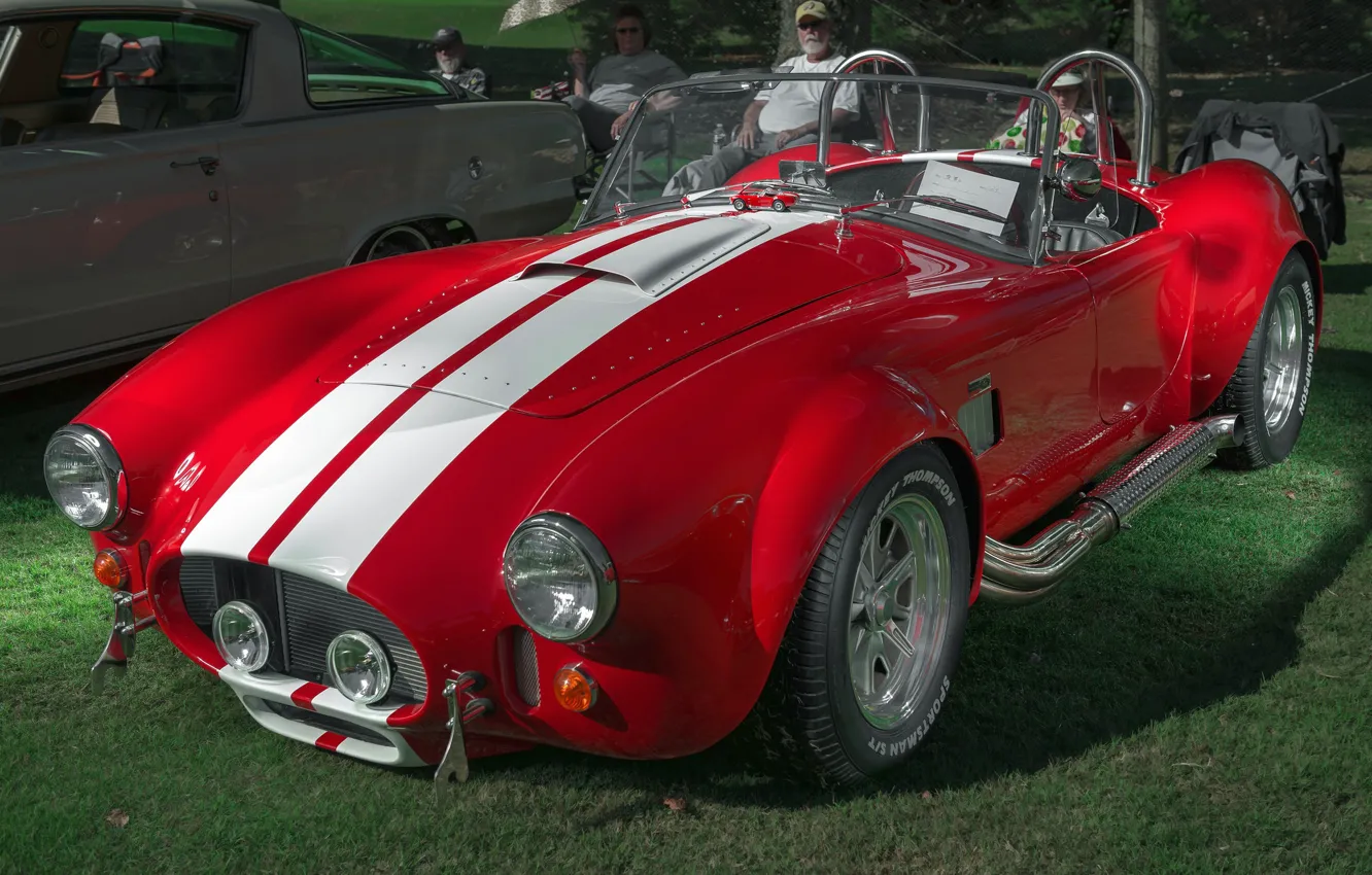 Photo wallpaper Cobra, 1964