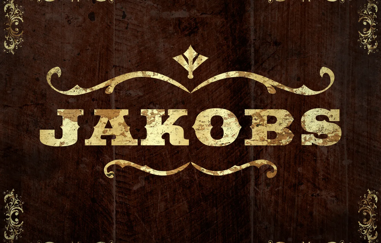 Photo wallpaper background, Borderlands 2, Jakobs, Jacobs, arms manufacturer, Borderlands