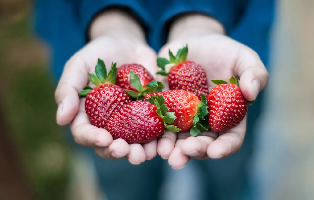 Photo wallpaper red, berries, food, hands, strawberry, palm