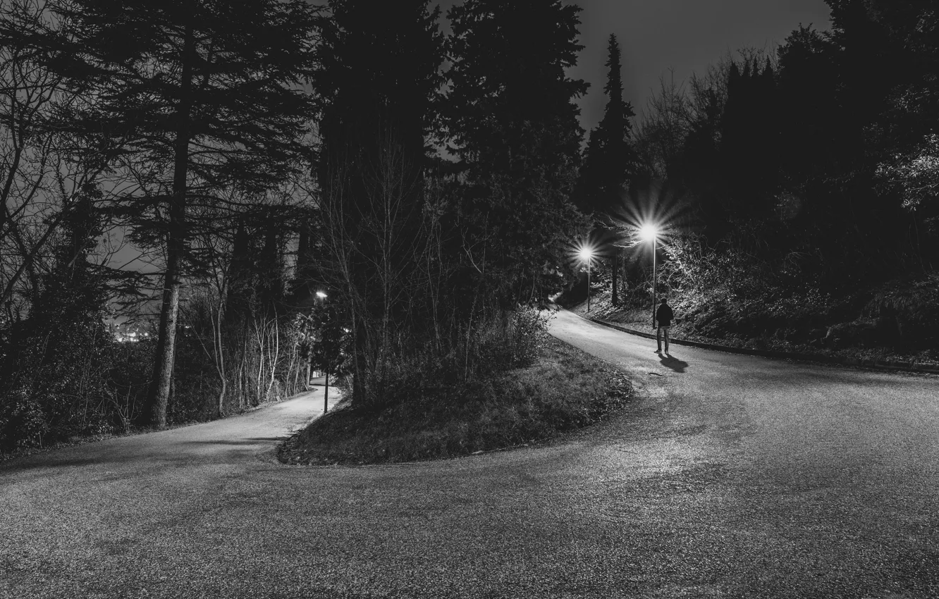 Photo wallpaper road, trees, night, back, male, walking, lampposts
