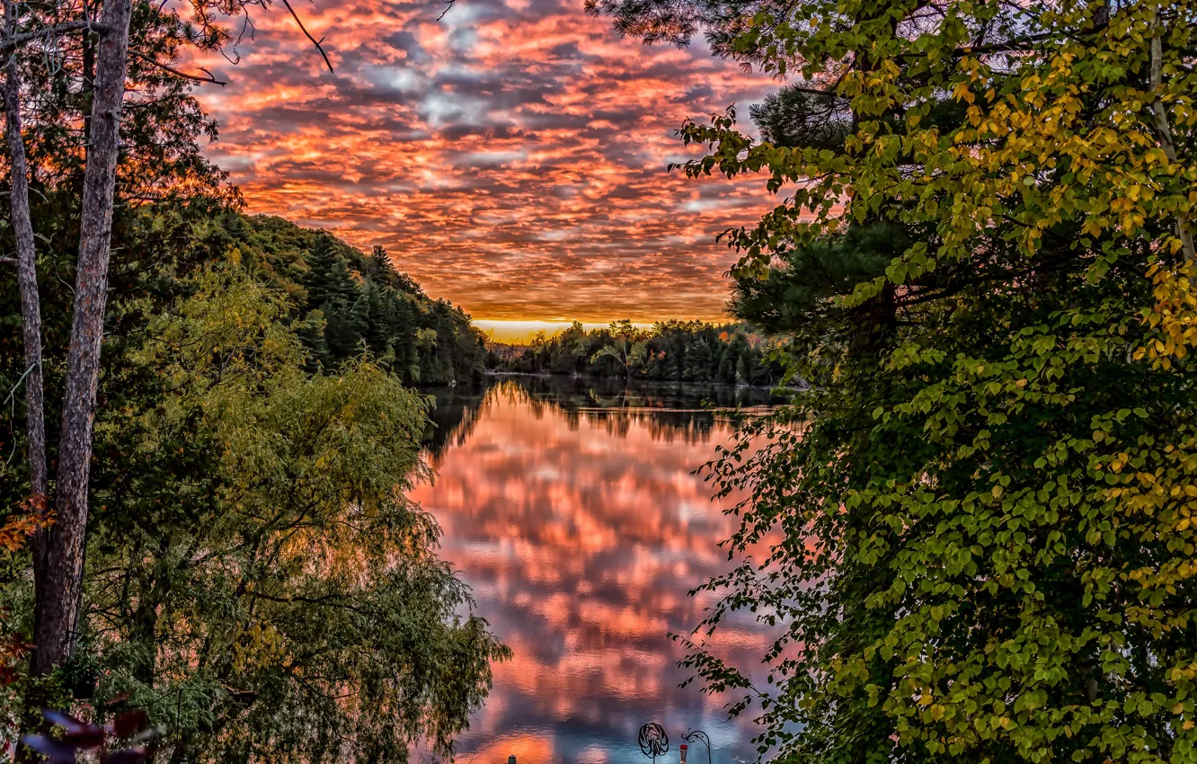 Photo wallpaper trees, lake, Park, reflection, dawn, morning, Canada, Ontario