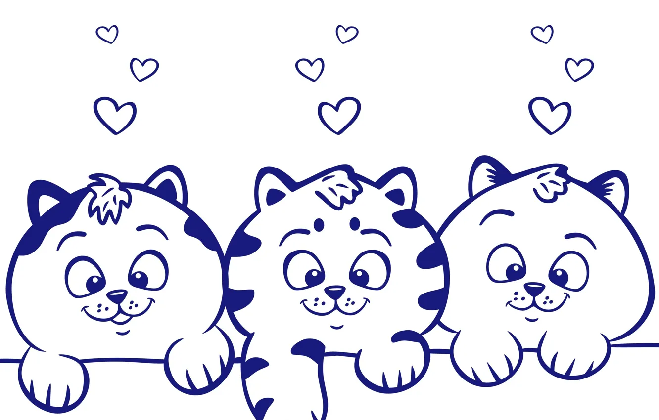 Photo wallpaper kittens, trio, Kishi