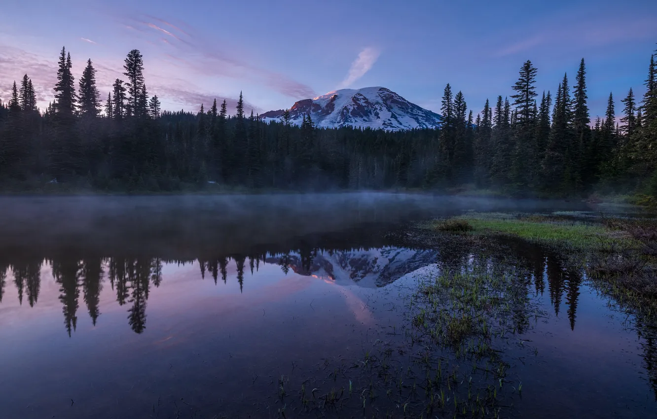 Photo wallpaper forest, the sky, mountains, fog, reflection, shore, the evening, morning