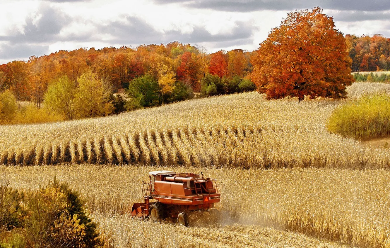Photo wallpaper wheat, field, autumn, forest, nature, harvest, harvester