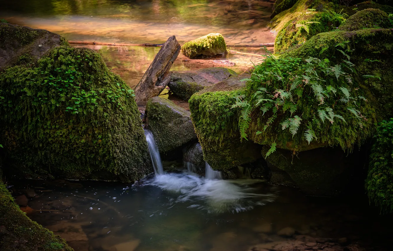 Photo wallpaper nature, stream, stones, moss