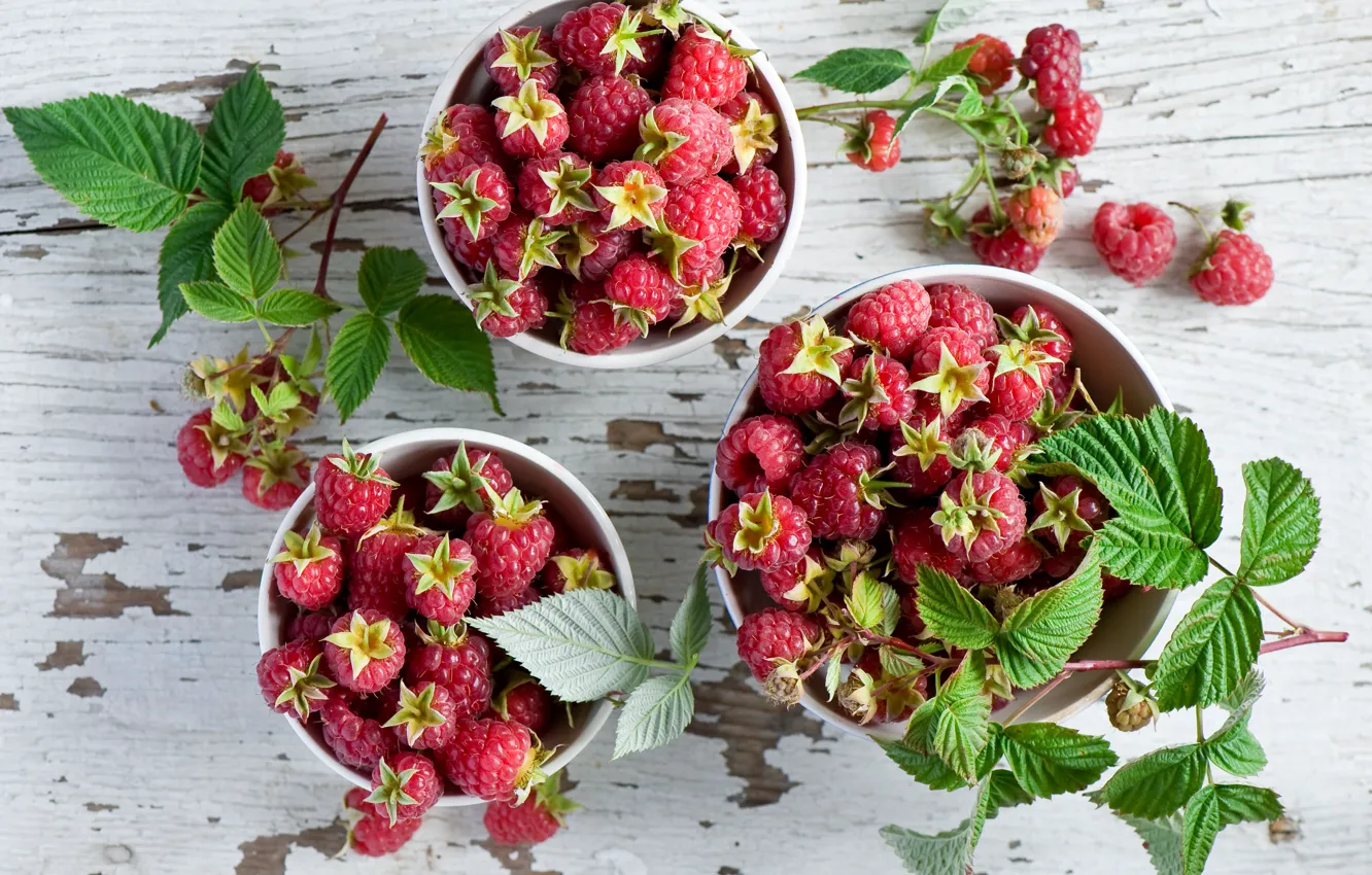 Photo wallpaper berries, raspberry, leaves