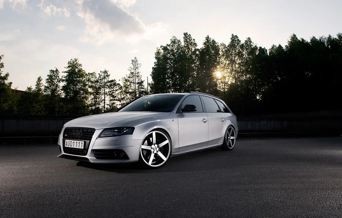 Photo wallpaper the sun, trees, Audi, Audi, tuning, tuning, universal