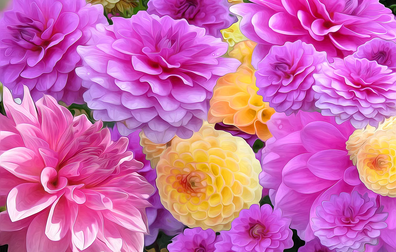 Photo wallpaper line, rendering, paint, petals, garden, buds