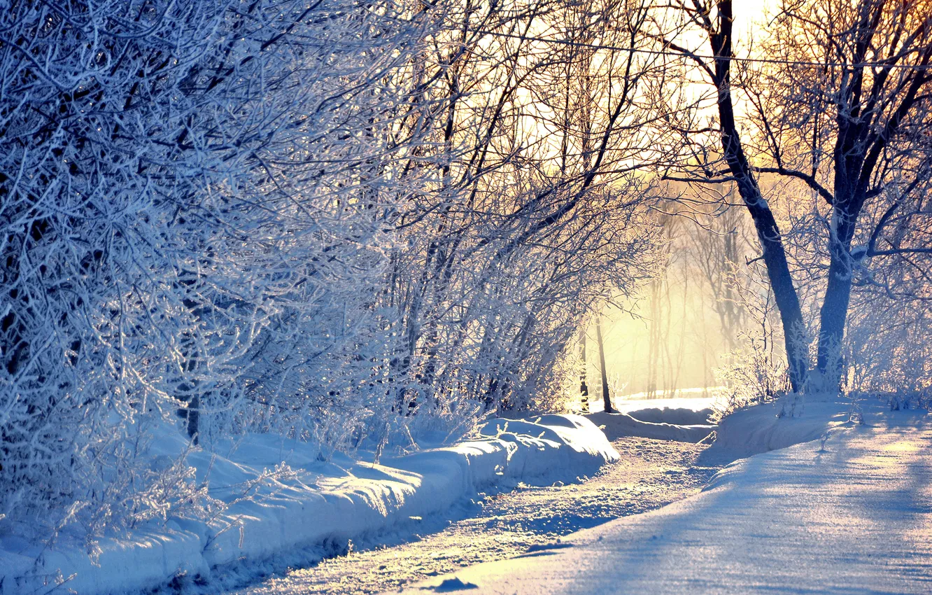 Photo wallpaper winter, road, snow, trees, nature, blue