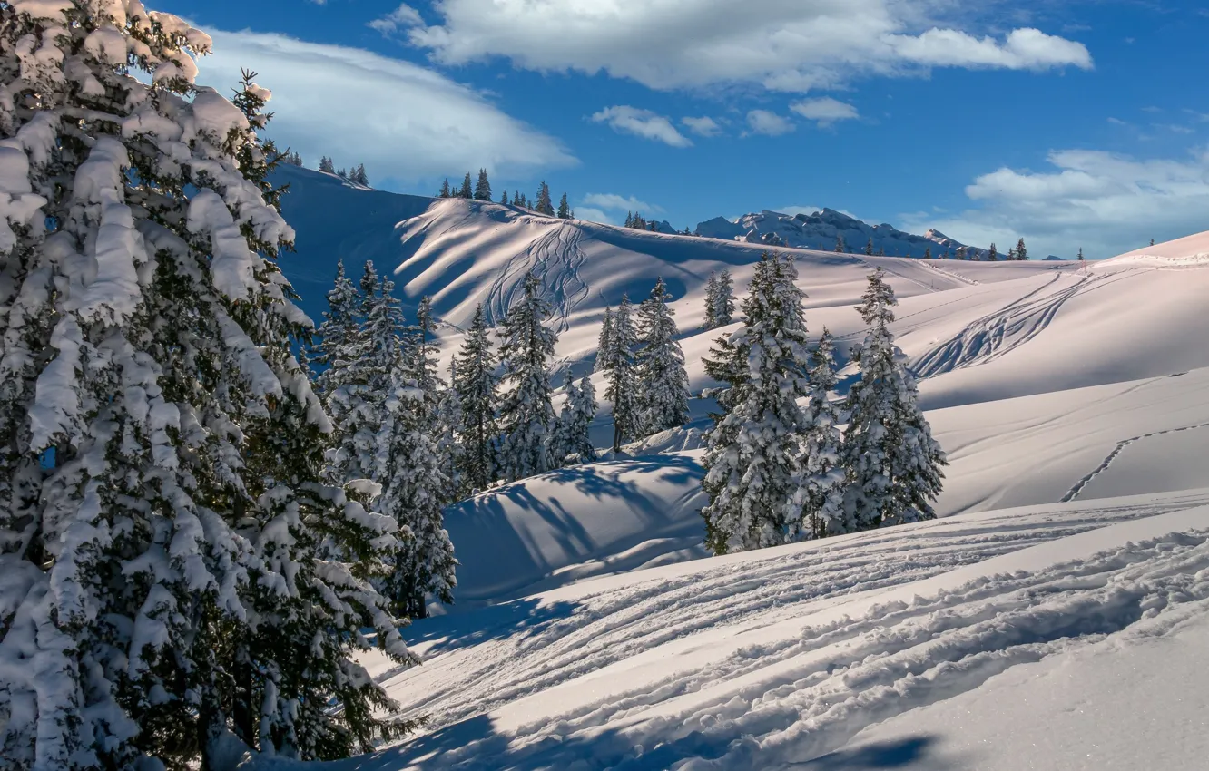 Photo wallpaper winter, forest, clouds, snow, mountains, the slopes, trails, ate