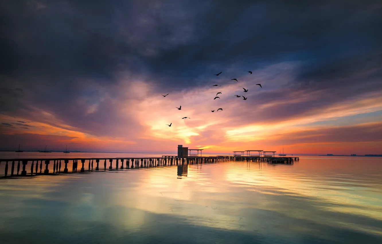 Photo wallpaper sea, sunset, birds, bridge