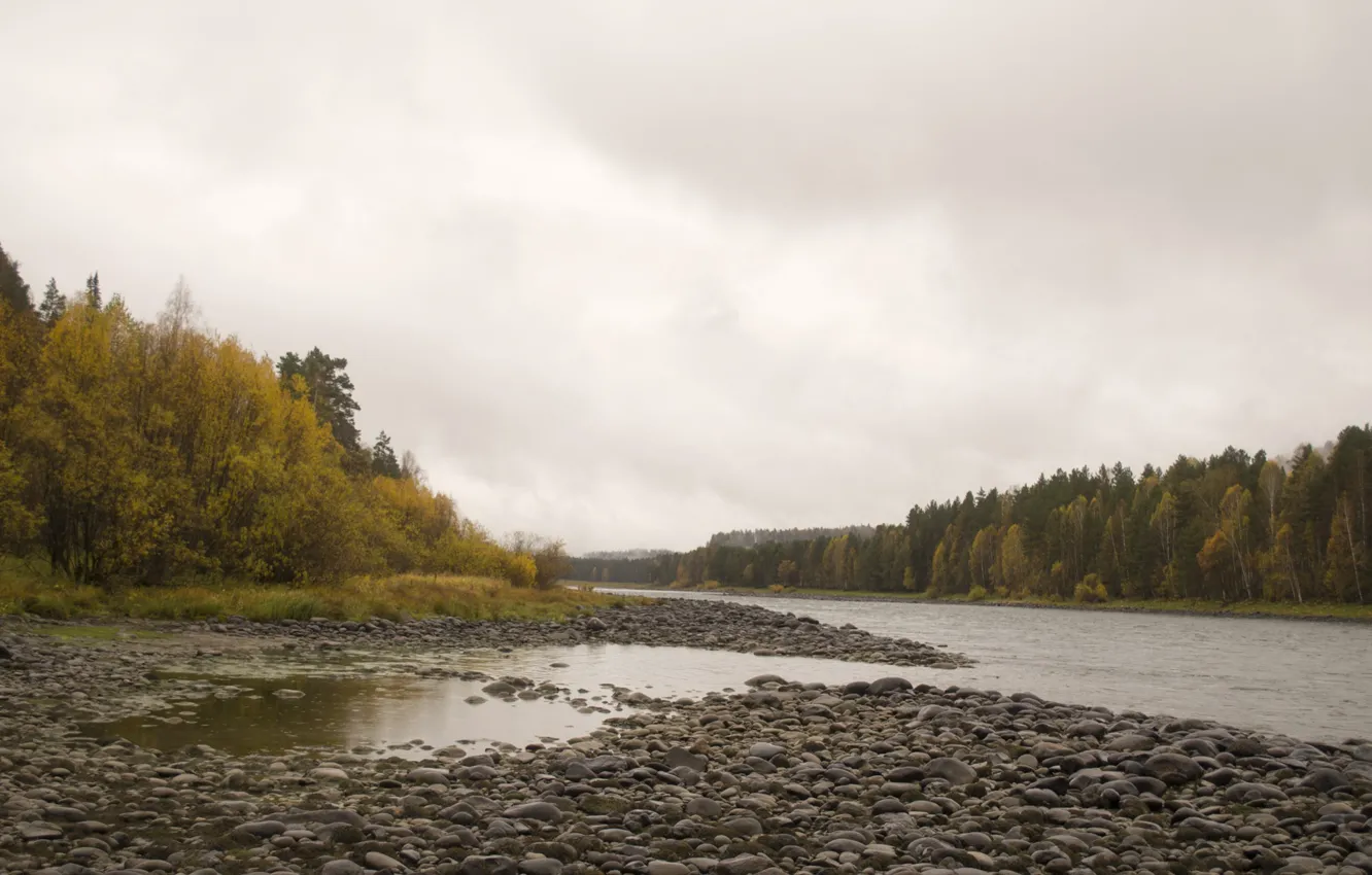 Photo wallpaper autumn, river, rain, Altay, Biya