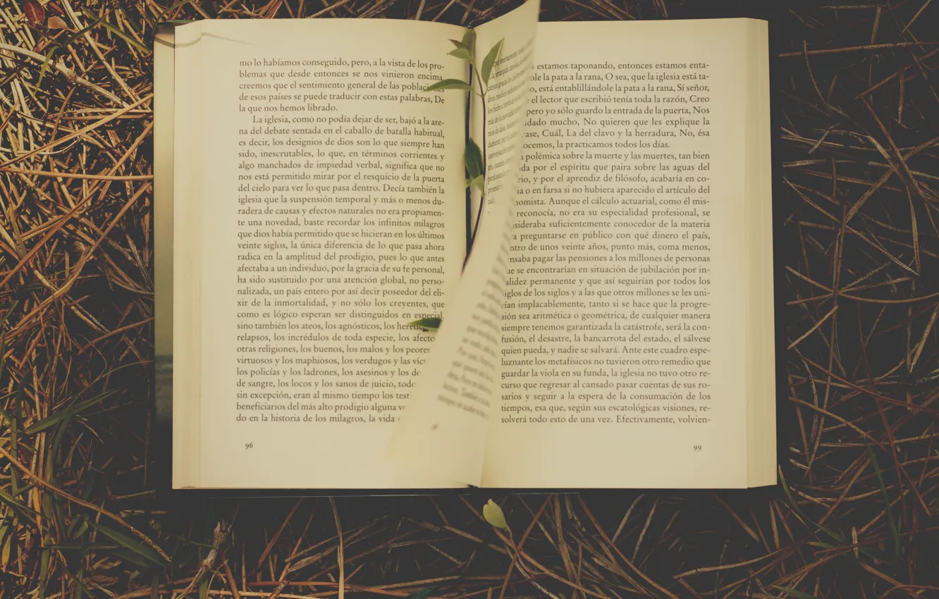 Photo wallpaper grass, book, novel