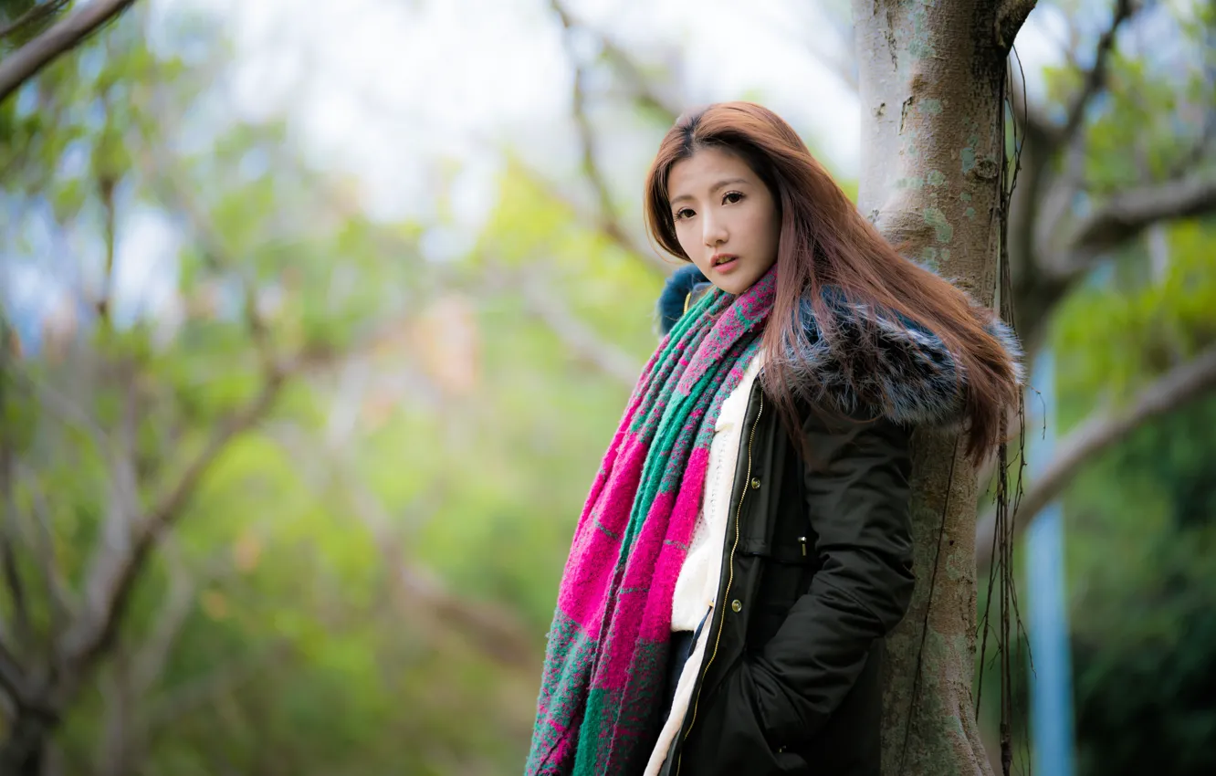 Photo wallpaper look, trees, hair, Asian, cutie, bokeh