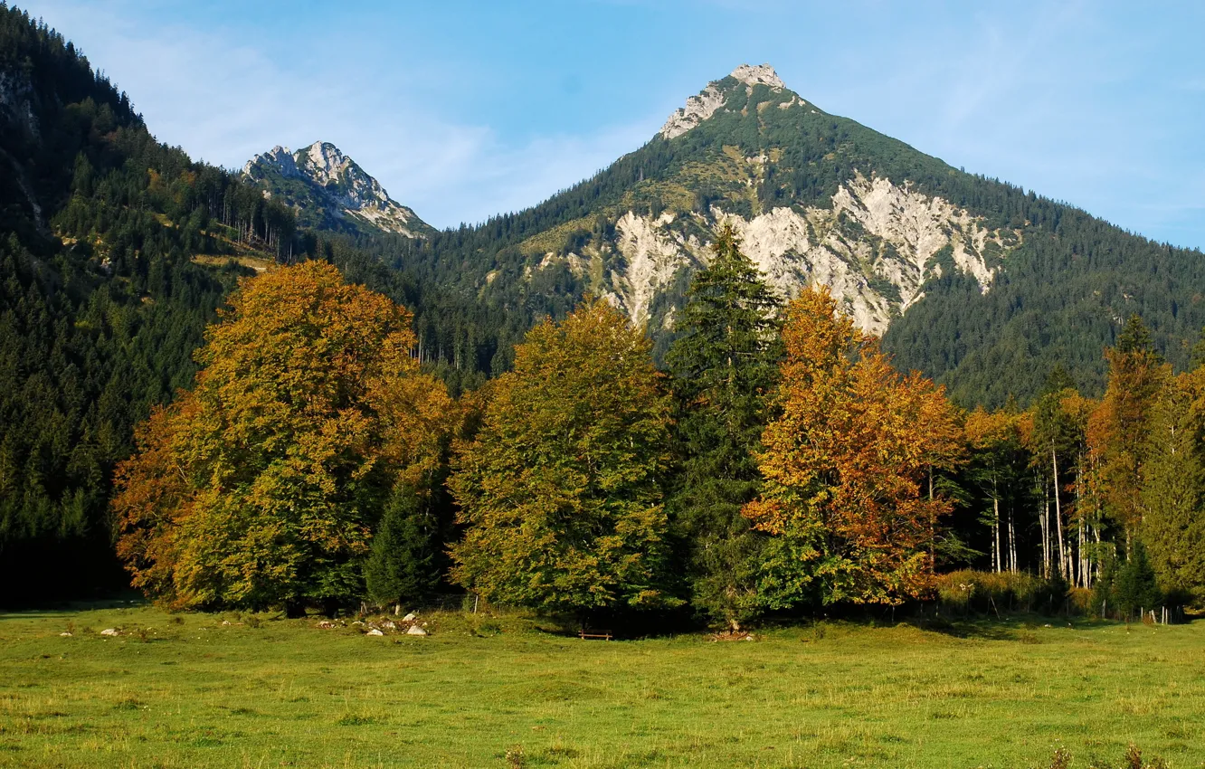 Photo wallpaper forest, landscape, mountains, nature, Austria, Alps