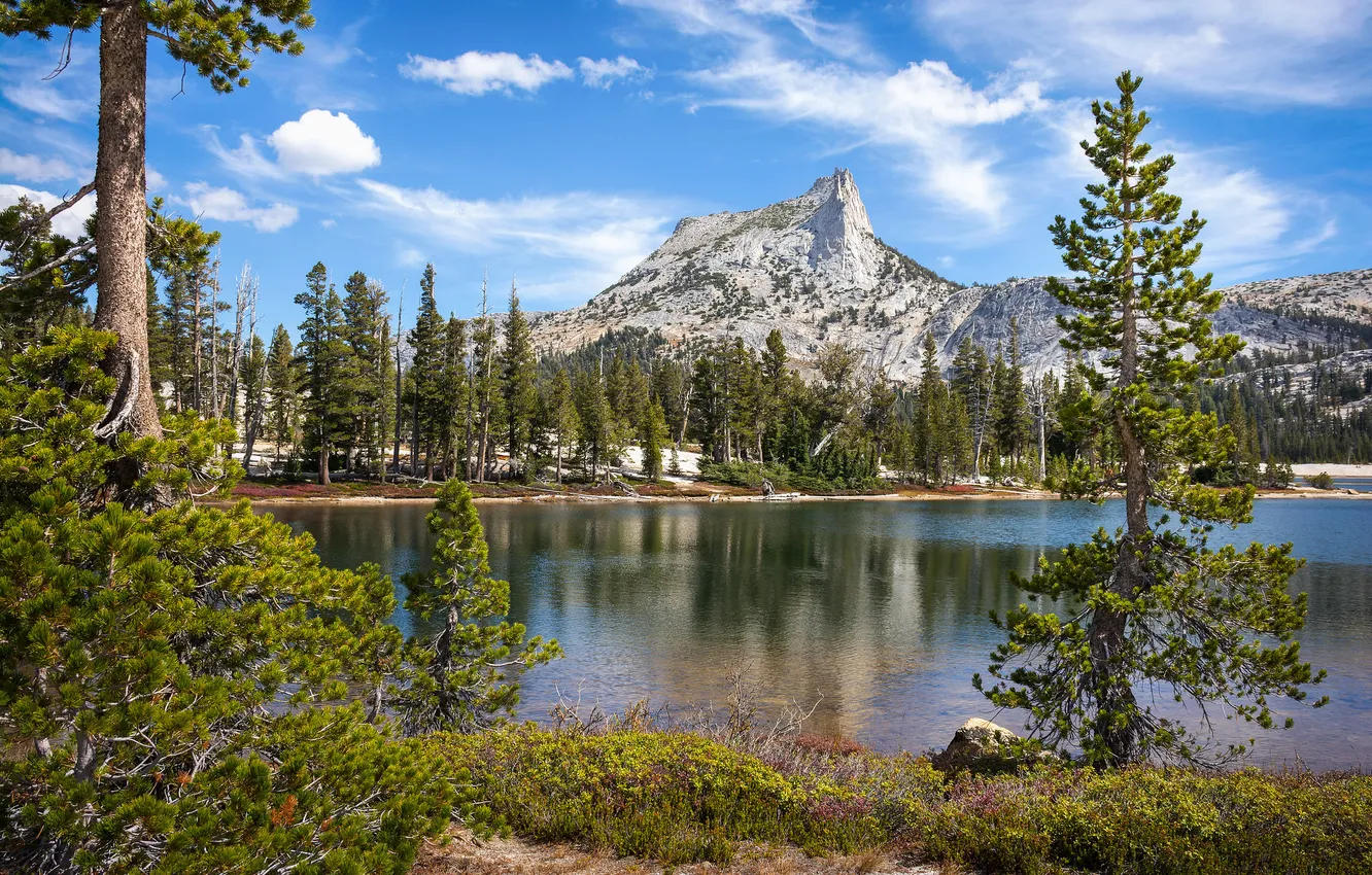 Photo wallpaper forest, clouds, mountains, lake, blue, shore