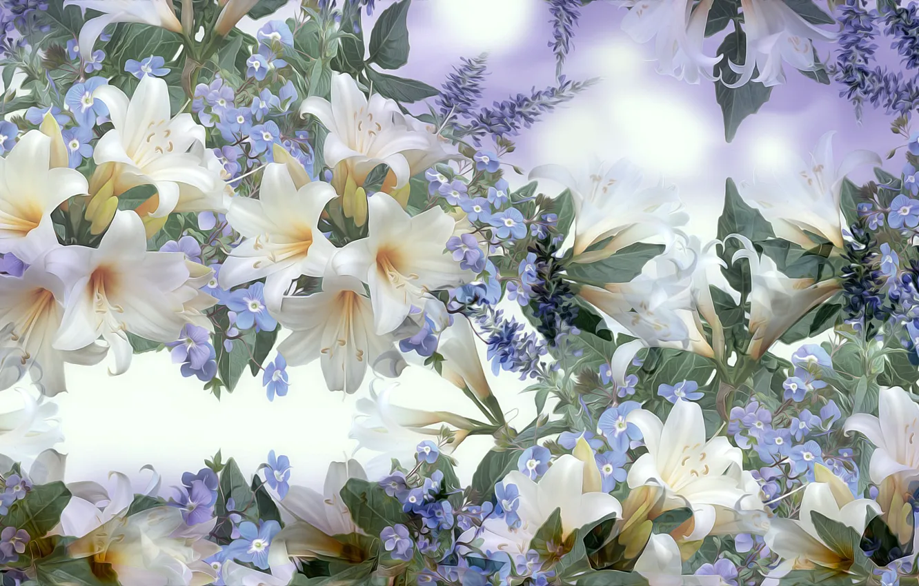 Photo wallpaper Graphics, Flowers, Lilie